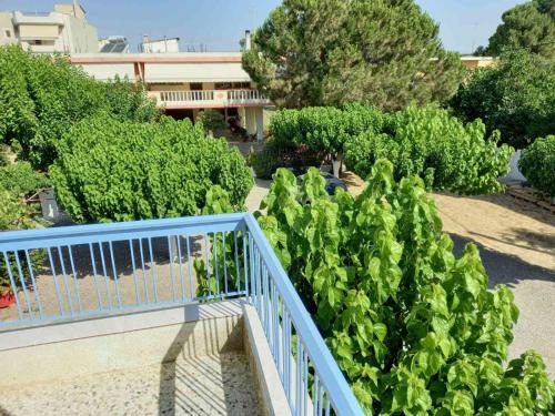 Lefkandi House | ΒΑΒΟΥΛΙΩΤΗΣ Γ