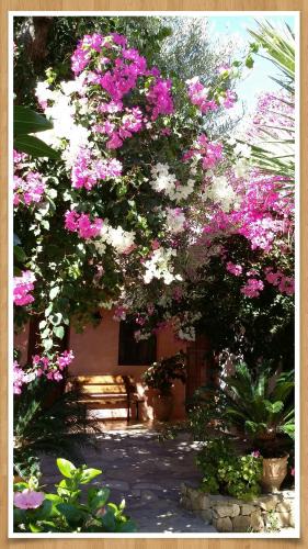 Kantanos-Selino House | 2bedrooms Cottage 1