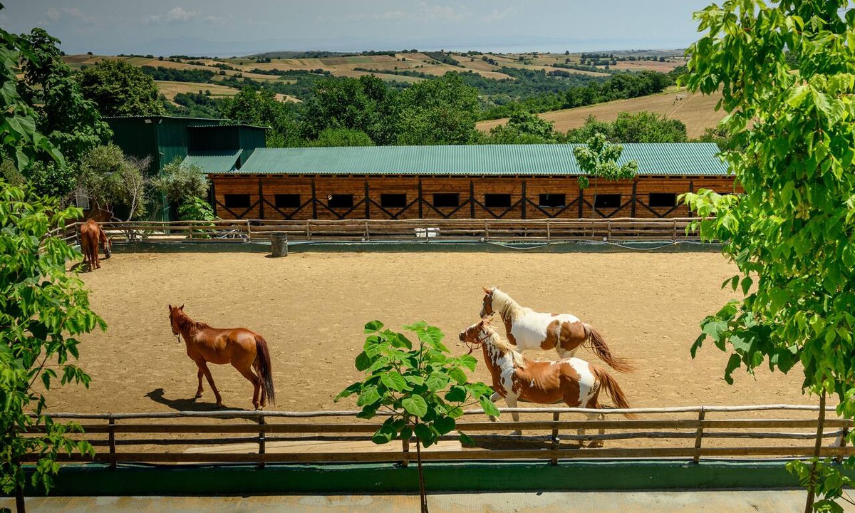 Pydna-Kolindros Hotel | 3 Hills Boutique Hotel