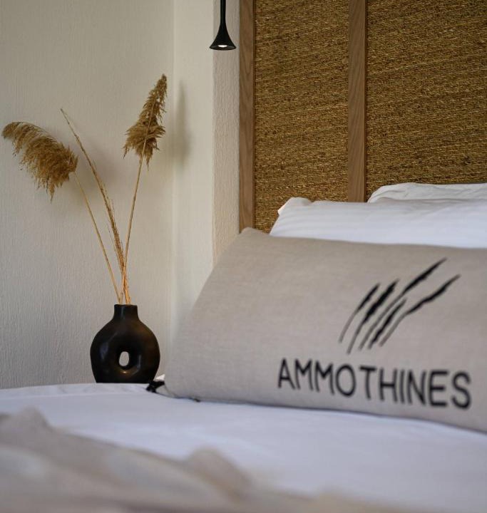 Golden Beach Hotel | Ammothines Beach Suites