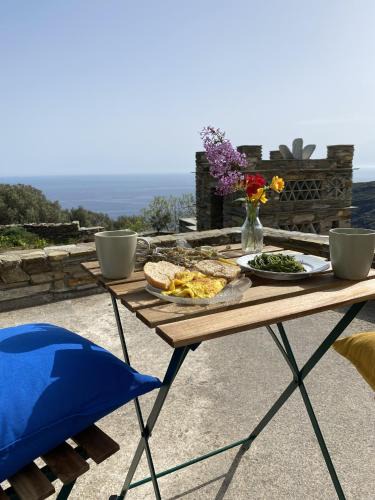 Andros Town Apartment | Andros Vineyard house with sea view