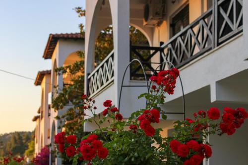 Elia Apartment | Anthema Apartments