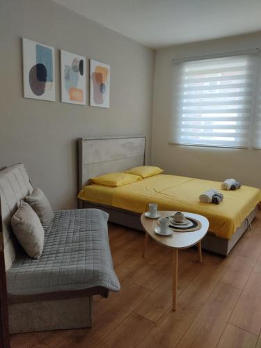 Pluzine Apartment | Apartman Andjela