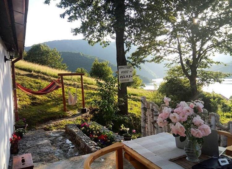 Pluzine Cabin | Apartman Djodjic