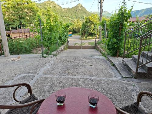 Virpazar Apartment | Apartman Pavle 2