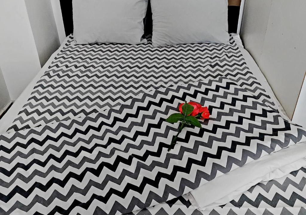 Pluzine Apartment | Apartman PAVLE