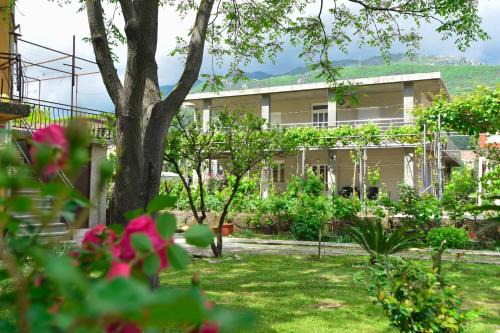 Lastva Grbaljska Apartment | Apartmani Mihovic - JAZ
