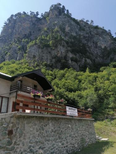 Montenegro House | Apartmani Tara i Zabojsko Dobrilovina