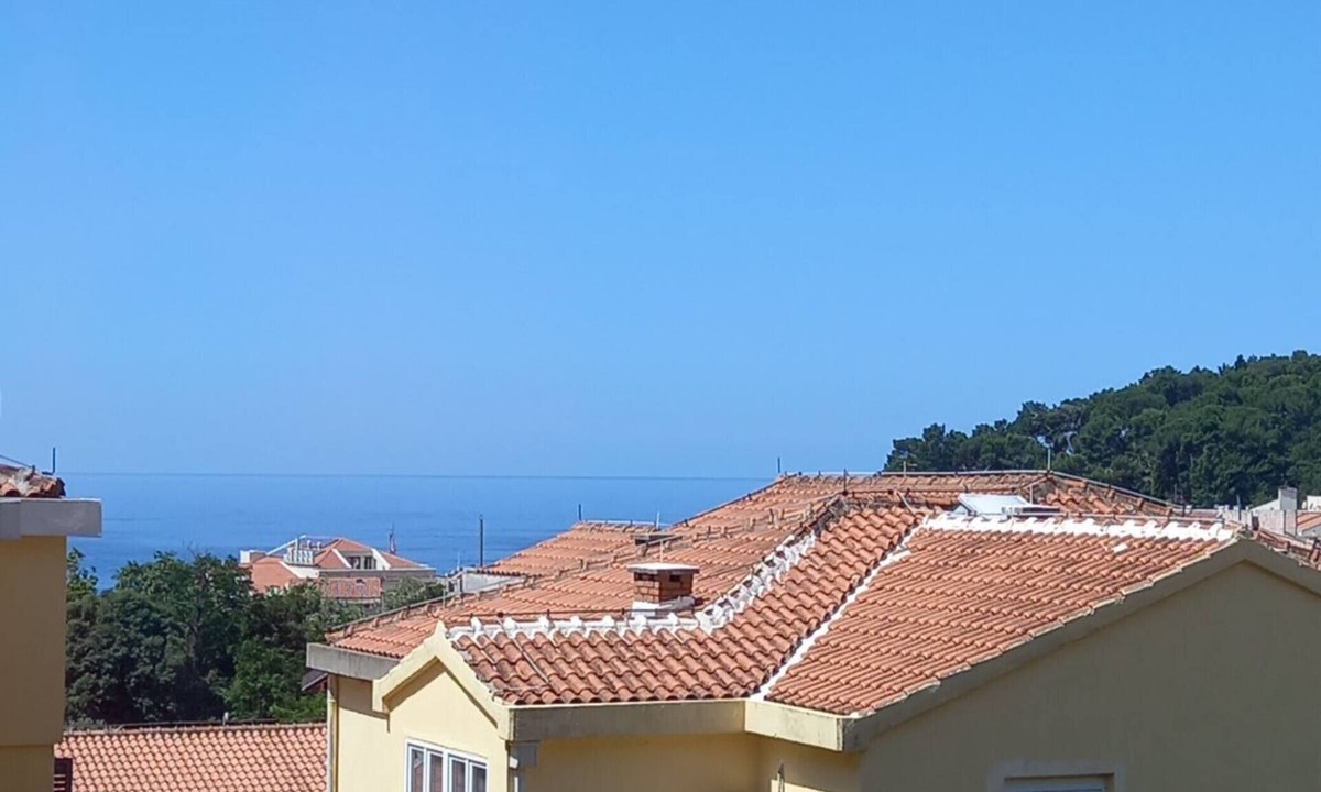 Petrovac Apartment | Apartment Andrija - One bedroom apartment near beach