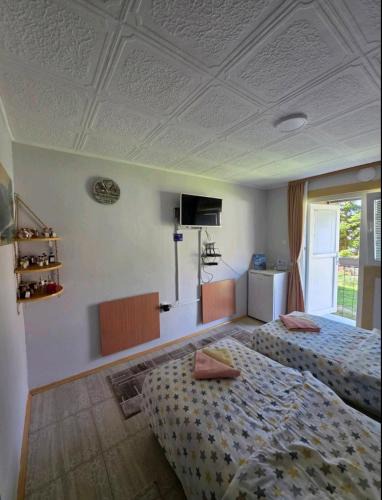 Pluzine Apartment | Apartment Buklija
