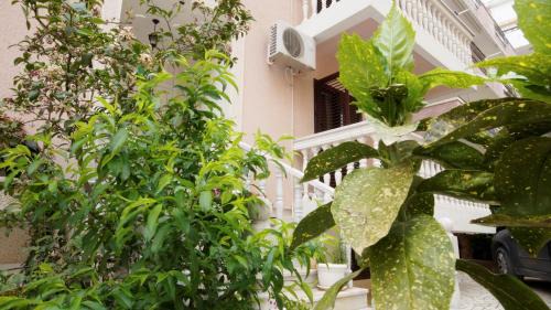 Maini Apartment | Apartment Glomazic