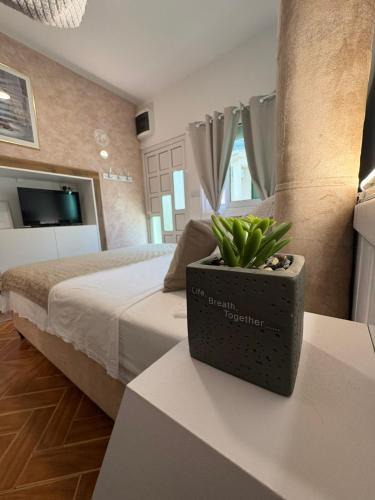 Skaljari Apartment | Apartment Milica