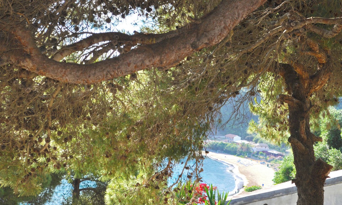 Parelia Apartment | Apartments and studio with swimming pool and Sea View in Pelekas Beach, Corfu