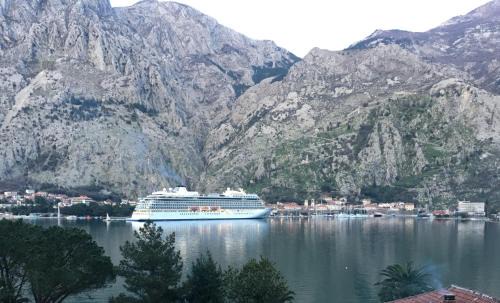 Kotor Apartment | Apartments Darija