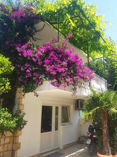 Boreti House | Apartments Irena