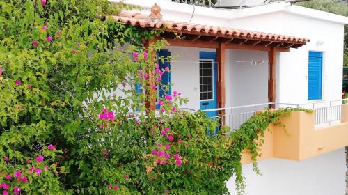 Kampos Marathokampou Apartment | Apartments Jota