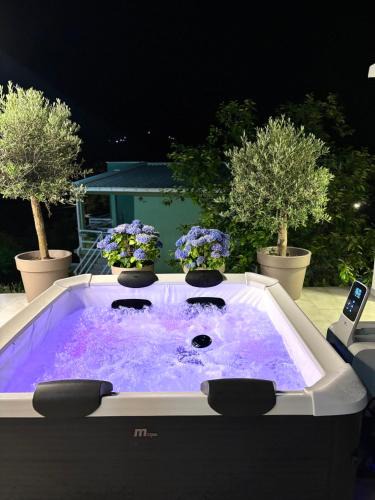 Virpazar Apartment | Apartments Miona