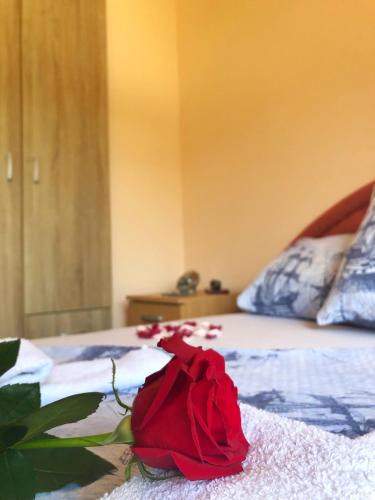Kamenari Apartment | Apartments Simic