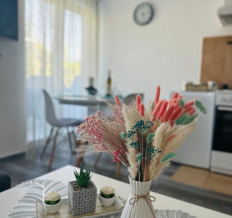 Mrcevac Apartment | Apartments Tijana