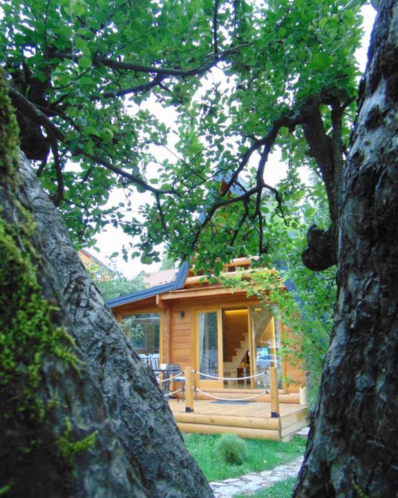 Donje Polje House | Apple House