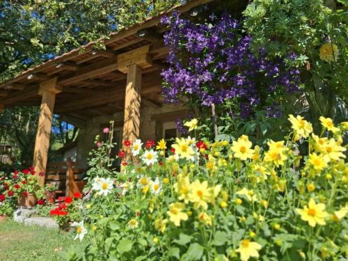 Donje Polje Apartment | Artistic Garden House