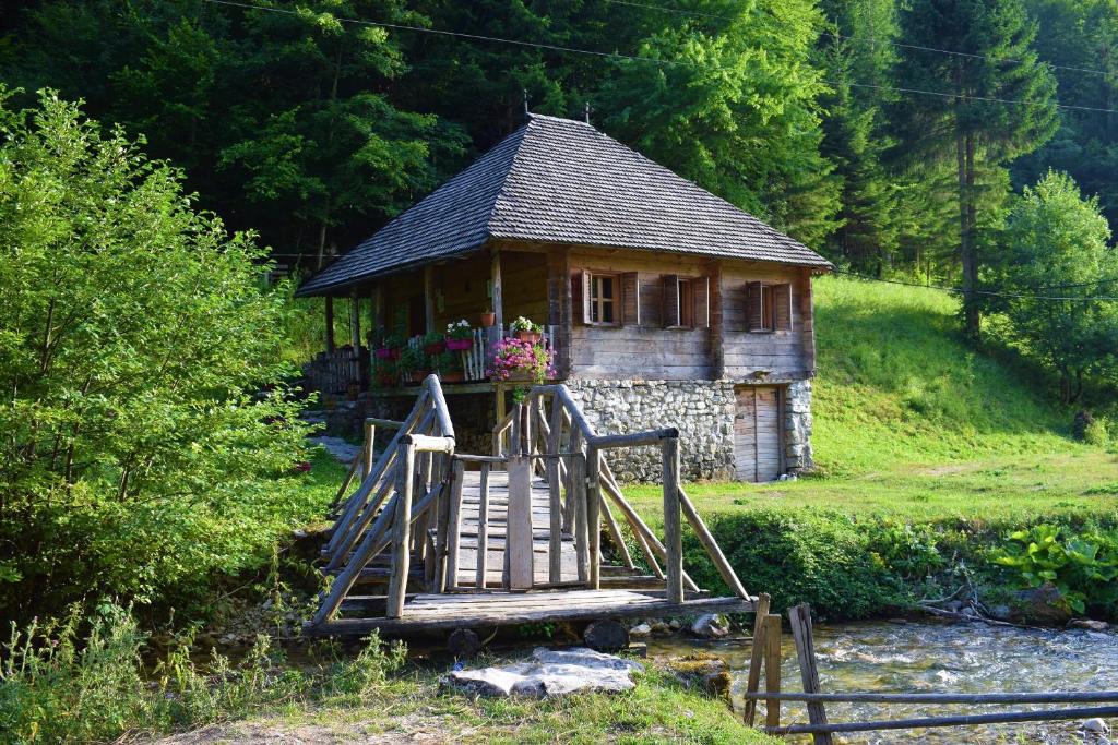 Kaludra Apartment | Autocamp & Apartment Snežana