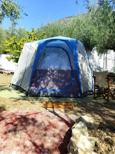 Diasella Other | Barreira Beachfront Tents10