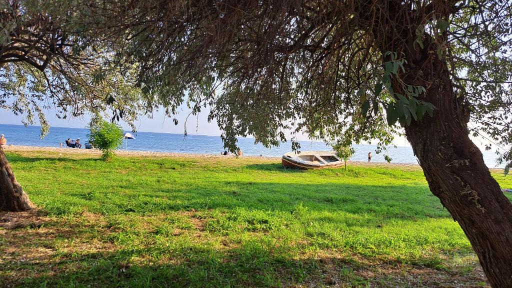 Paralia Dionysiou Apartment | Beachfront apartment 10m from the beach