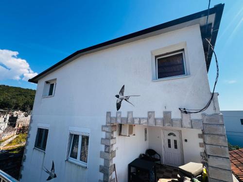 Krimovica House | Bird House