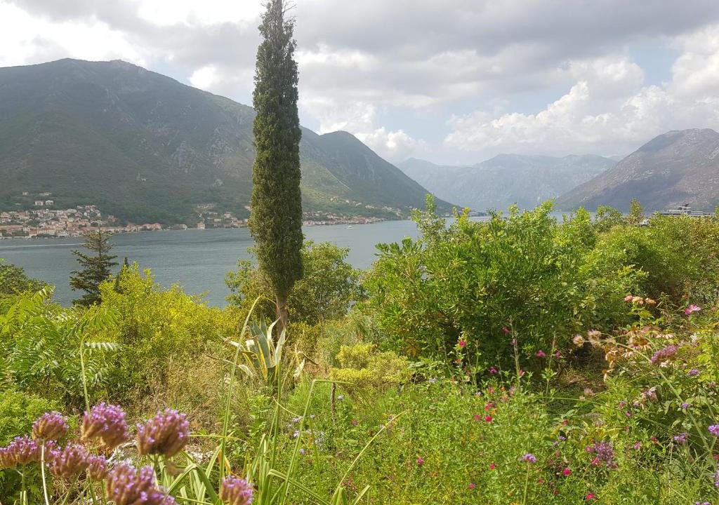 Dobrota Apartment | Biser lux - Kotor Bay - Sea view & Swimming Pool