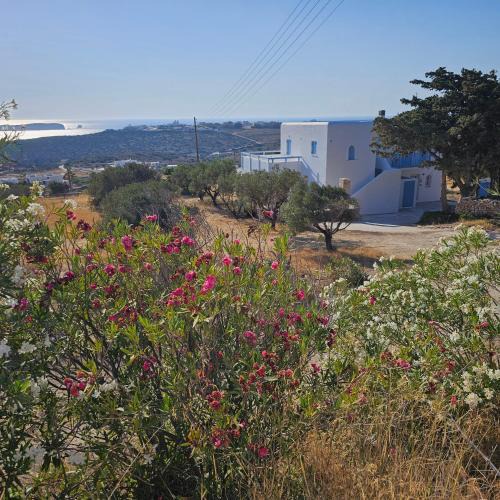 Nea Cryssi Akti Apartment | Blue and White View