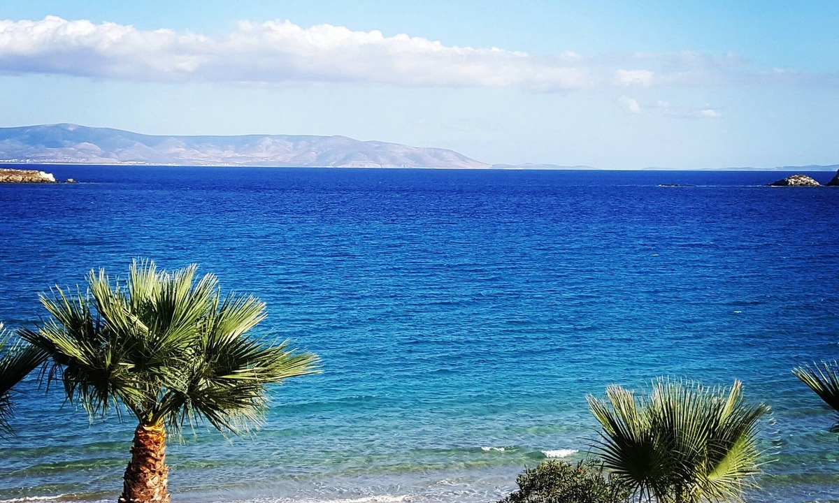 Chrissi Akti Hotel | Blue Dolphin