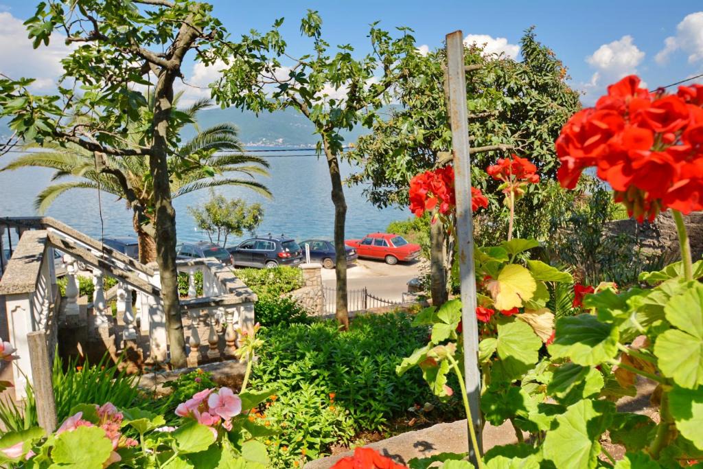 Krasici Apartment | Boka View Apartments