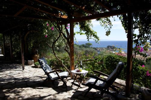 Gaios House | Bougainvillea
