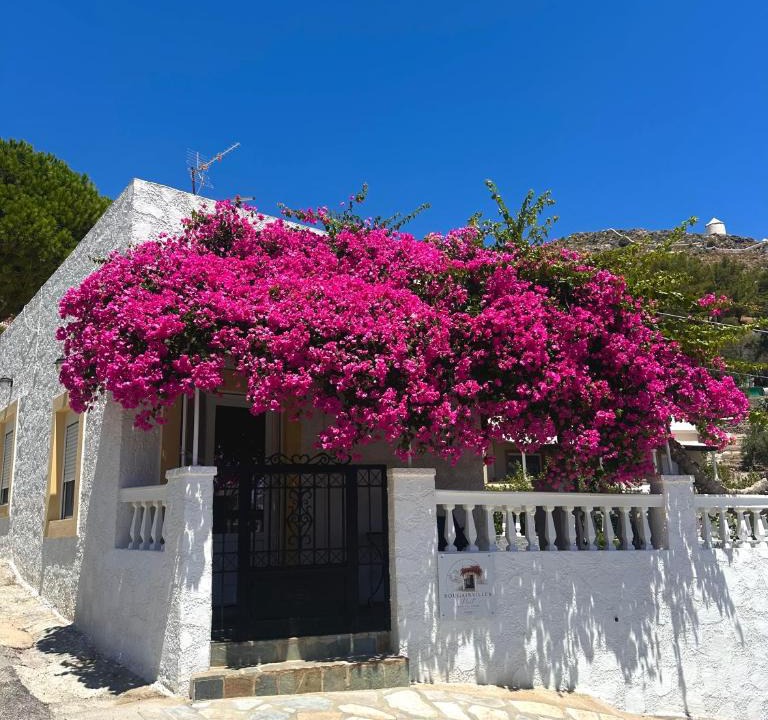 Panteli Apartment | Bougainvillea Nest Panteli, Leros