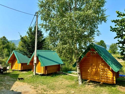 Kolasin Municipality Other | Camp Mrdak Lipovo
