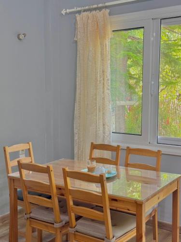 Anthousa Apartment | Captain Michalis house
