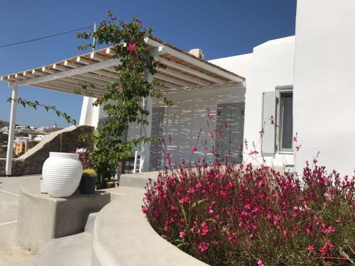 Ano Mera Apartment | Casa Piccola Delos Mykonos