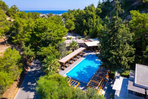 Ixia Hotel | Casa Trees Hotel