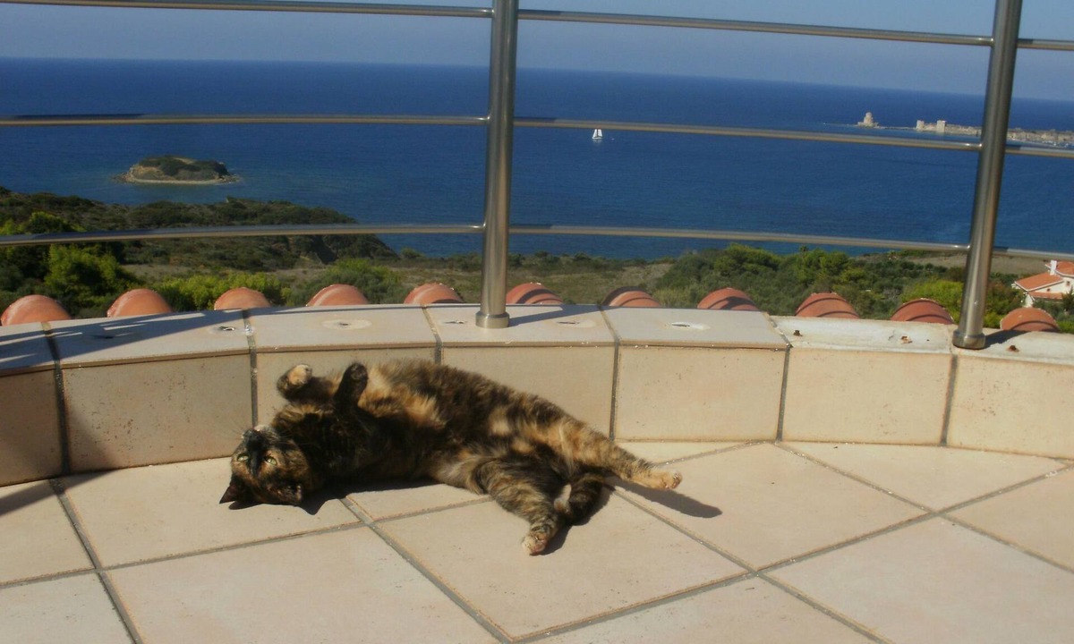 Pylos-Nestoras Apartment | Charly Point Villa-Apartment, Doppelzimmer by Interhome