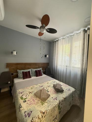 Loutraki Apartment | Cosy Apartment on Mpoleti