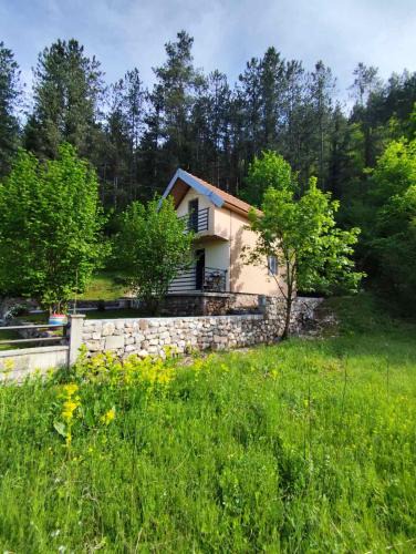Donje Polje Apartment | Cottage in nature of Cetinje
