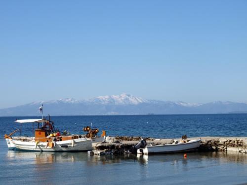 Nea Styra House | Cottage near the beach in Nimporio, Euboea