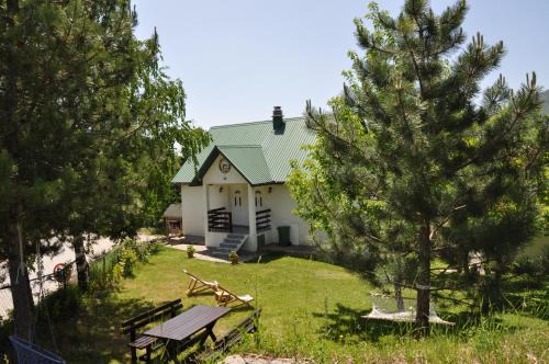 Pluzine Apartment | Crossroads Preseka