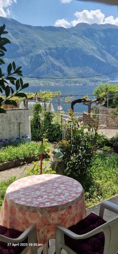 Prcanj Apartment | Cute studio with garden and terrace,by the sea