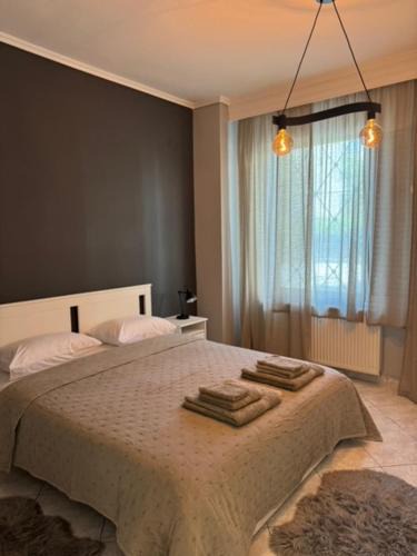 Perea Apartment | Damian's Cozy Pool Apartment