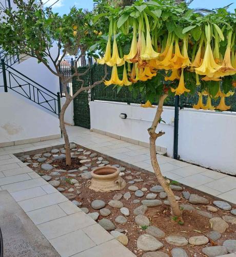 Kropia Apartment | Dimitris place near Athens airport