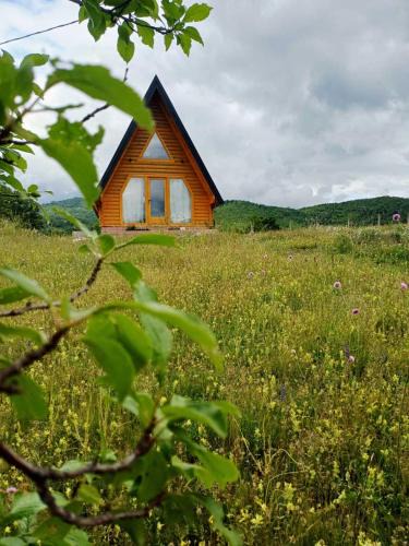 Niksic Municipality House | Diva House