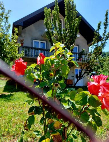 Plav Apartment | DOBRA VODA