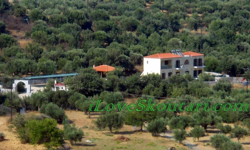 Skoutari Apartment | Domaine Papakonstantis